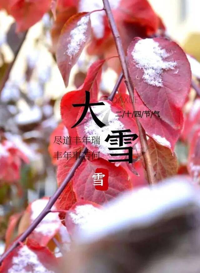 节气·大雪  雪落归家，此刻，我在信息科大