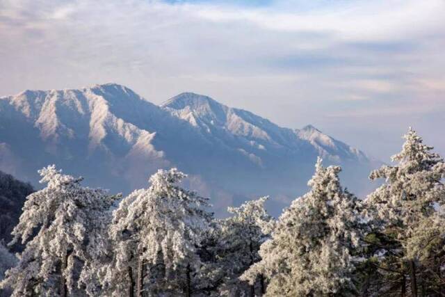 今日大雪，白首与君归