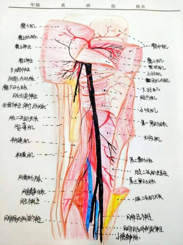 考试季丨笔尖上的重医：快来围观Cqmuer的笔记！