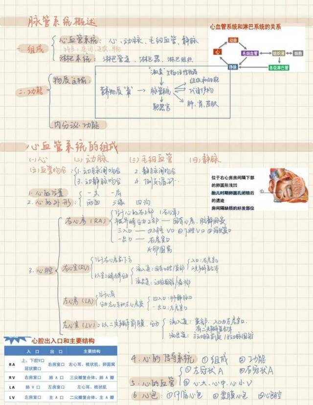 考试季丨笔尖上的重医：快来围观Cqmuer的笔记！