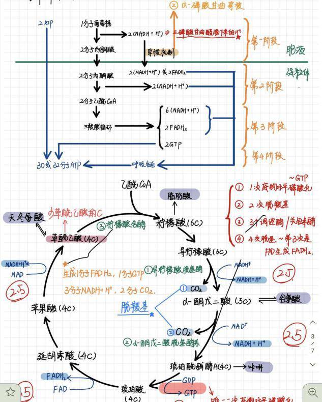 考试季丨笔尖上的重医：快来围观Cqmuer的笔记！