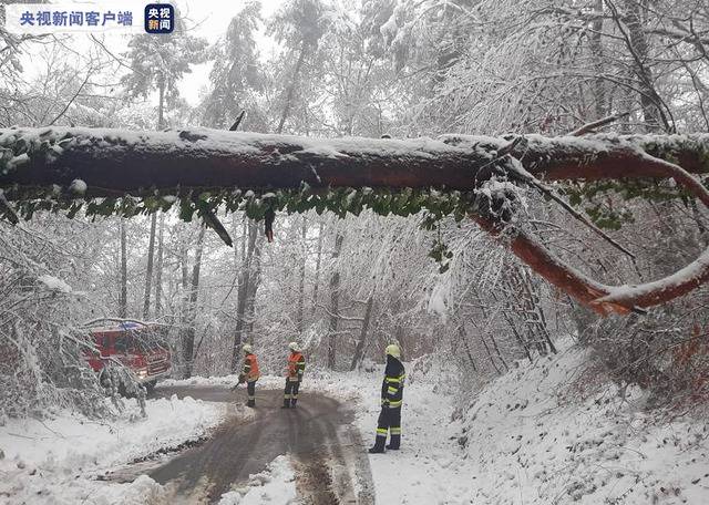 奥地利多州连续降雪 造成上万户家庭停电