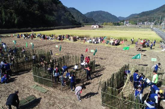 学生在比赛割稻、做竹篱笆
