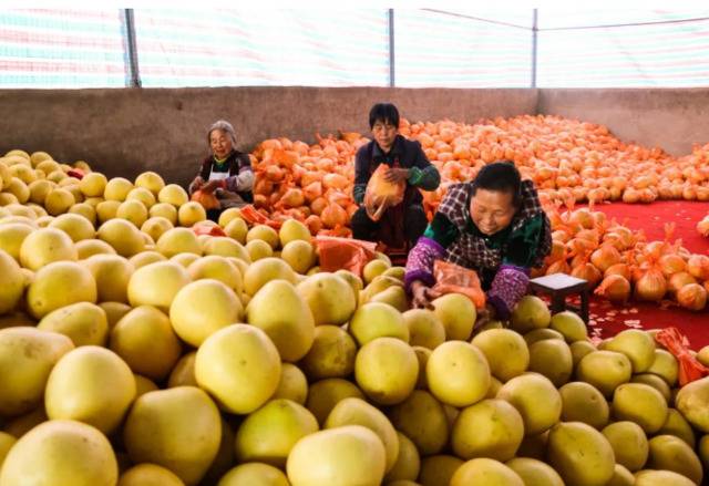 晚柚图：垫江微发布