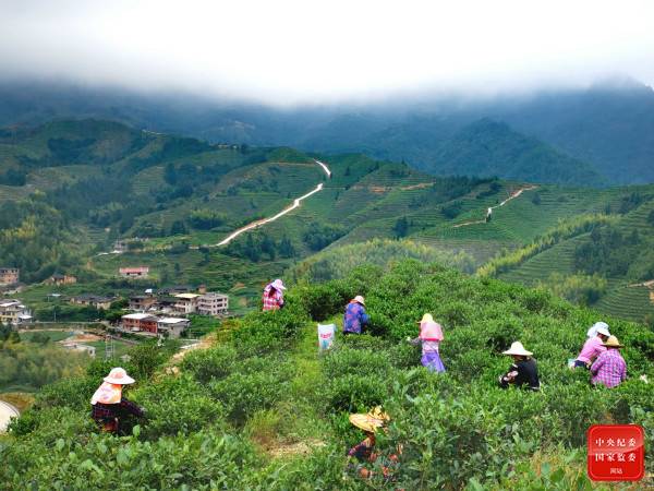 镜头 为山区发展创造机遇