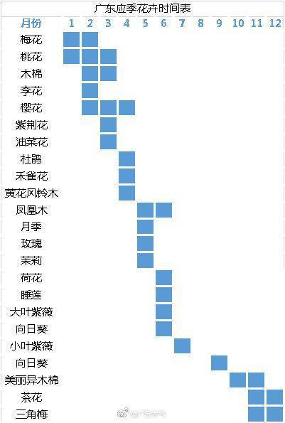 广州晴天下线，“足秤”冷空气将上新