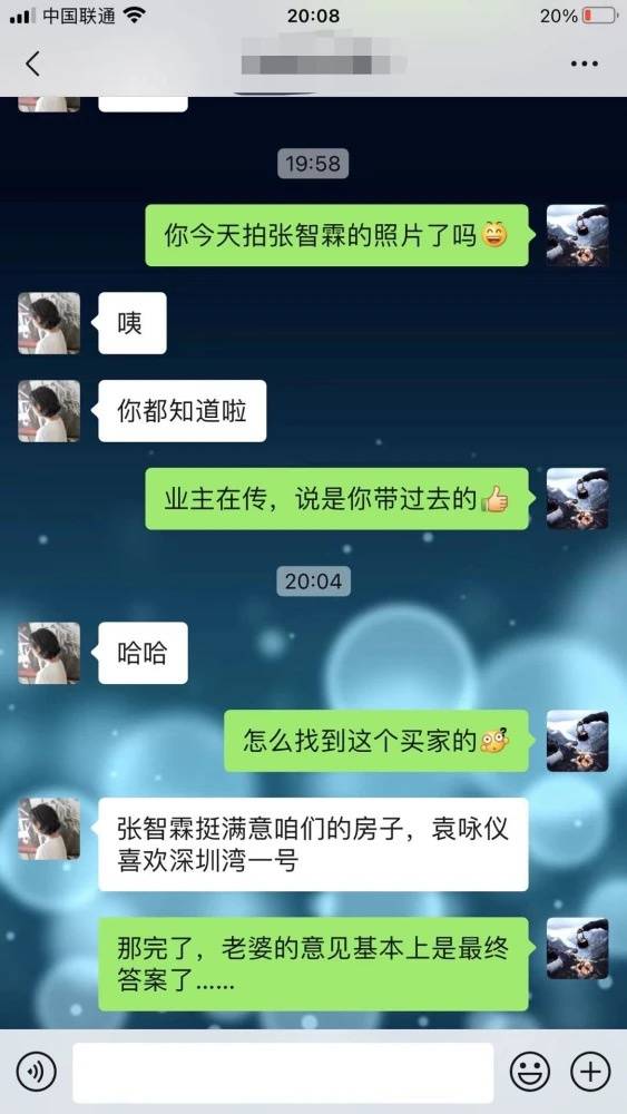 曝袁咏仪相中过亿豪宅