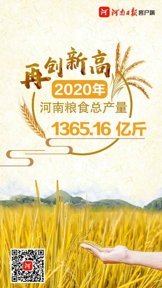 1365.16亿斤！河南粮食总产量首次跨越1350亿斤台阶