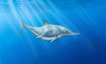 英国基默里奇湾附近深海沉积物中发现1.5亿年前鱼龙化石 像海豚和鲨鱼的结合体