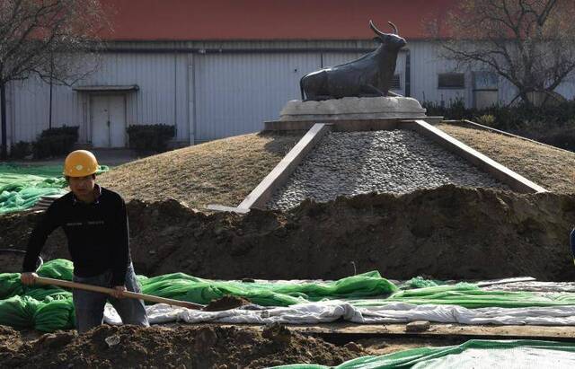 北京未来设计园区由铜牛厂改造而成，铜牛雕塑保留了历史记忆。摄影/新京报记者吴宁