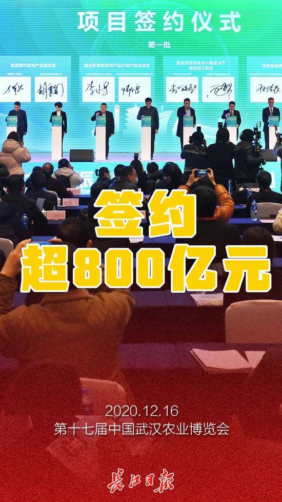 刚刚，武汉签约超800亿元，全球第一支试管藕亮了！