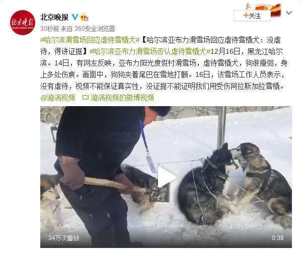 哈尔滨亚布力滑雪场回应虐待雪橇犬：没虐待，得讲证据