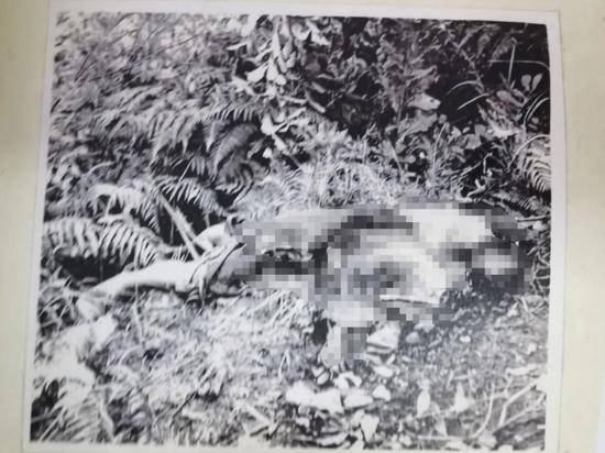 广西40年前命案告破：两少年惨遭盗马贼刺死弃尸荒野，警方开棺验明元凶