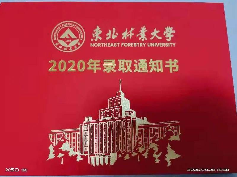 周六特期  2020，和我共拾珍贵瞬间