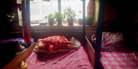 女子宿舍阳台上的五盆花，是孙世清养的，被住客叫做“五朵金花”。摄影/本刊记者隗延章