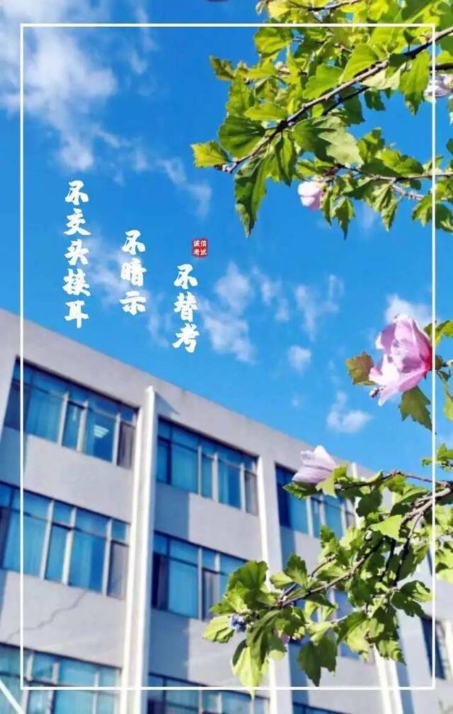 期末考试“拍了拍你”！加油，考试人