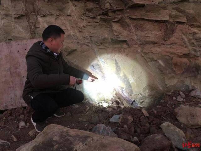 李先生在路边发现的疑似大型蜥脚类恐龙腿骨化石受访者供图