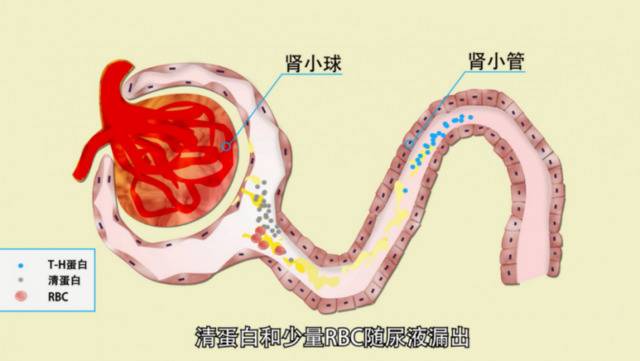 重医人物丨胡晶：“选择教师这份职业，是自然而然，更是心之所向。”