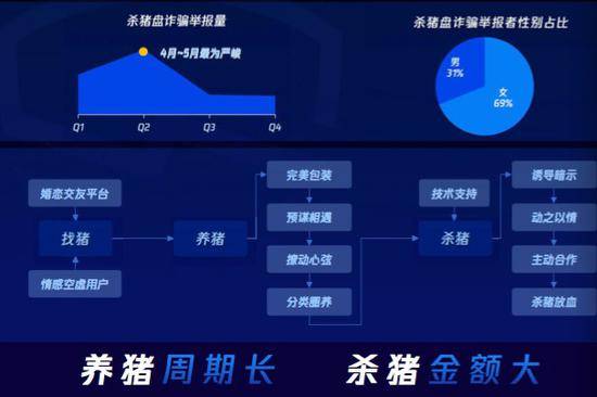 揭秘网络诈骗背后黑产：杀猪盘、数字货币洗钱、兼职陷阱