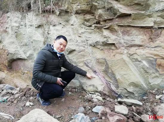 自贡市民李飞发现恐龙腿骨化石