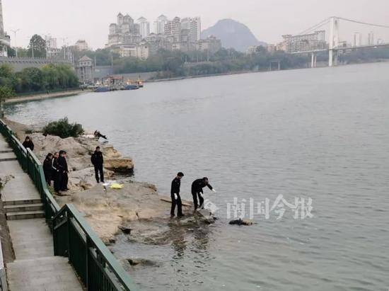 广西柳江大桥附近漂浮“黑衣男”，市民发现立马报警