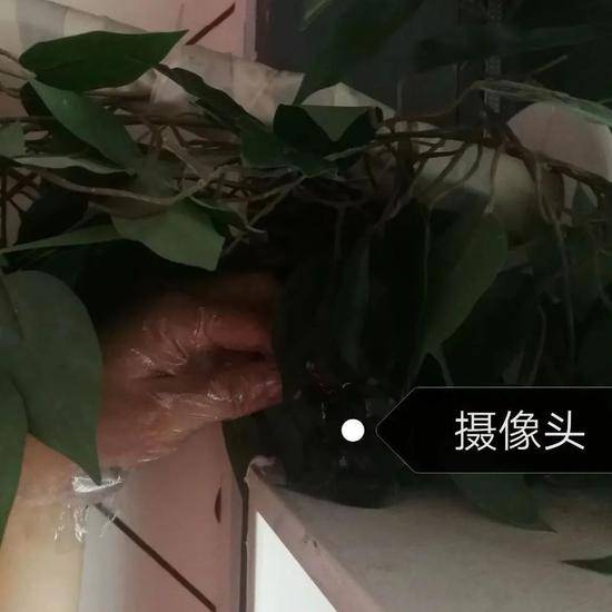 山西网安打掉一黑灰产链：进酒店安设备偷拍不雅视频后招代理卖账号