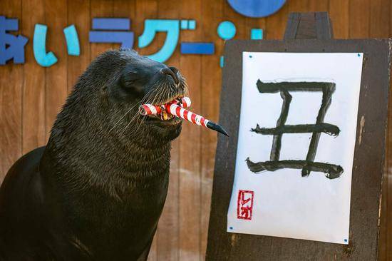 日本海狮挥笔书写“丑”字 迎接牛年到来