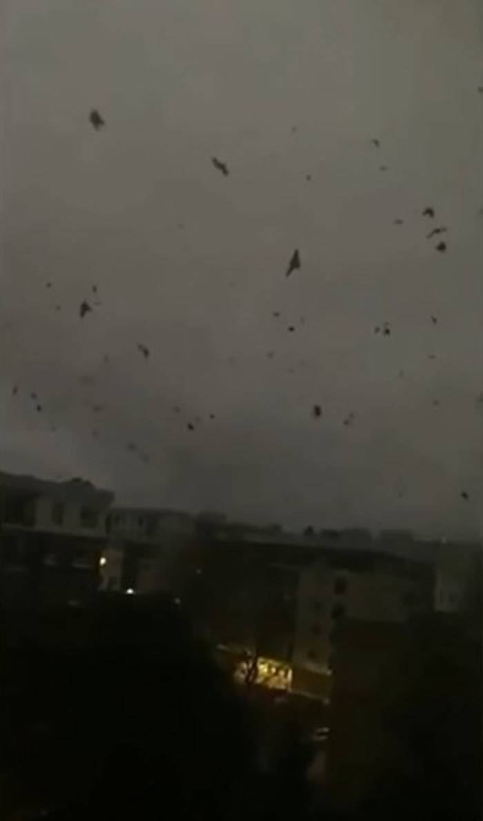 世界末日先兆？加拿大安大略省上百只乌鸦在空中盘旋10多个小时并发出凄厉啼叫声