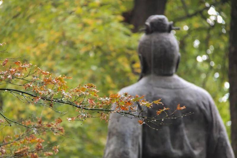 倾听  天平山：枫染山醉，暖阳弄影