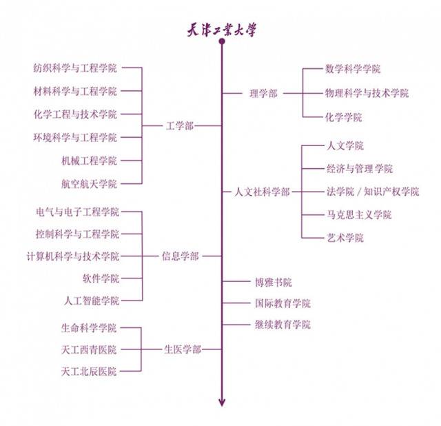 学校推进学部制改革 开启高质量内涵发展新篇章