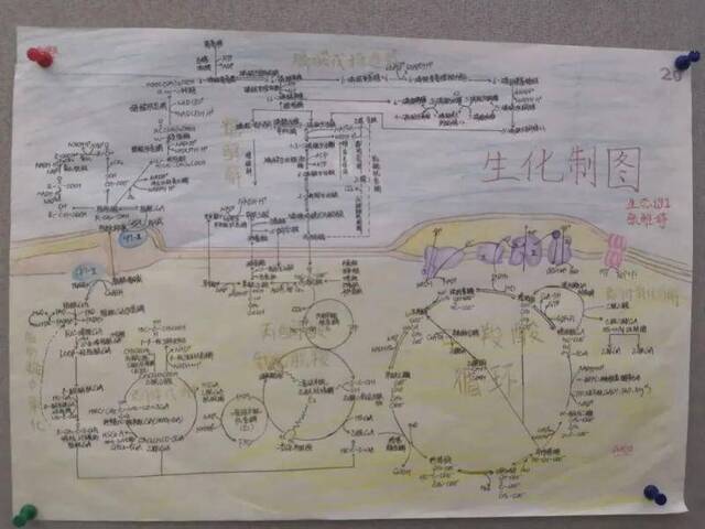 快来看看神仙生化绘图啦！