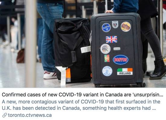 公共卫生专家表示，加拿大出现变异新冠病毒的确诊病例“不足为奇”。/加拿大电视网“CTV”报道截图