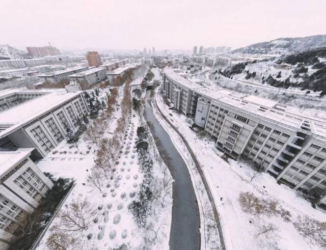 初见雪纷飞——来看看济大的初雪吧