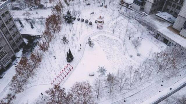 初见雪纷飞——来看看济大的初雪吧