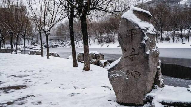 初见雪纷飞——来看看济大的初雪吧