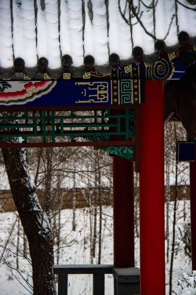 初见雪纷飞——来看看济大的初雪吧