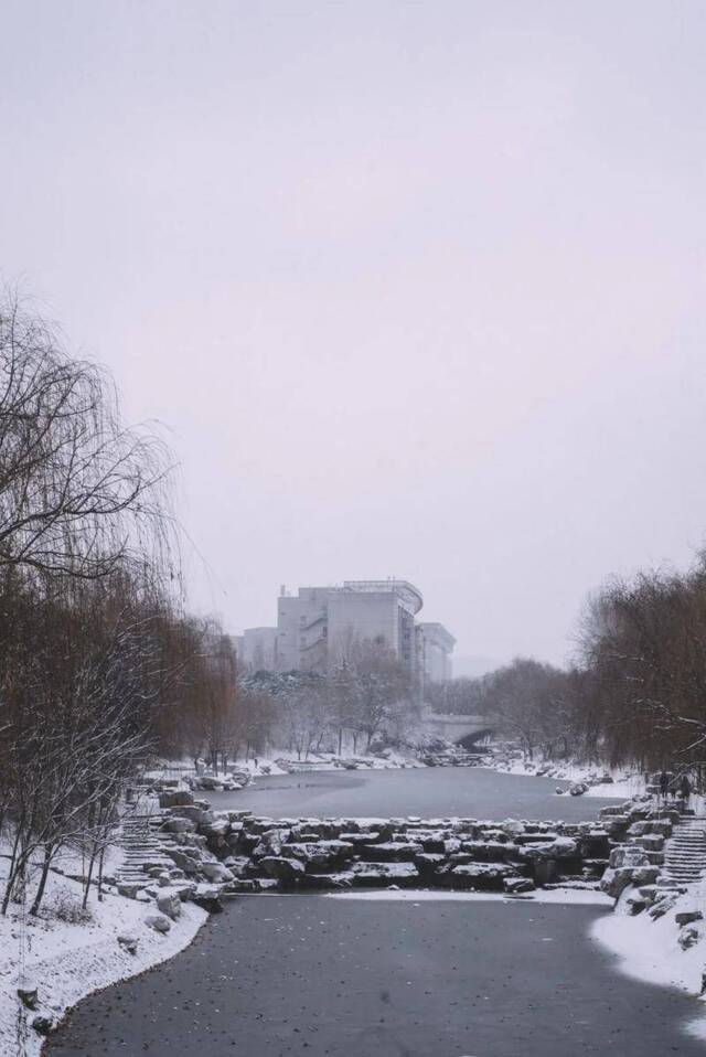 初见雪纷飞——来看看济大的初雪吧