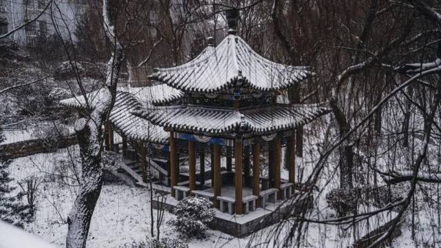 初见雪纷飞——来看看济大的初雪吧