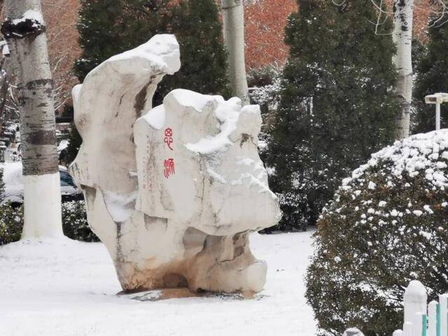 初见雪纷飞——来看看济大的初雪吧