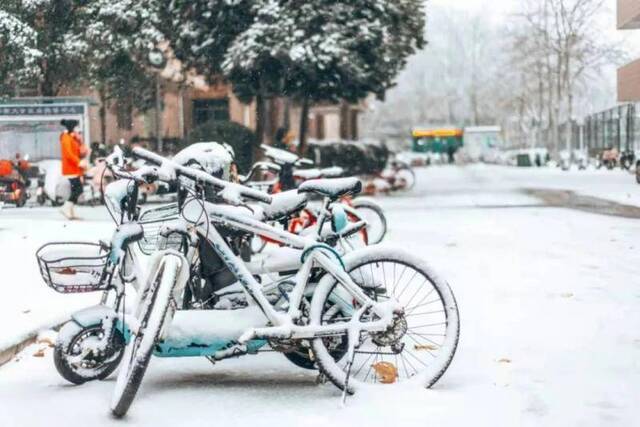 初见雪纷飞——来看看济大的初雪吧