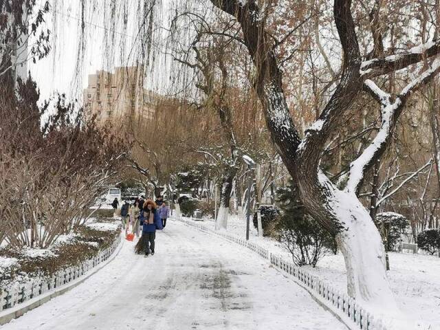 初见雪纷飞——来看看济大的初雪吧