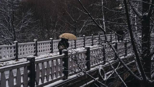 初见雪纷飞——来看看济大的初雪吧