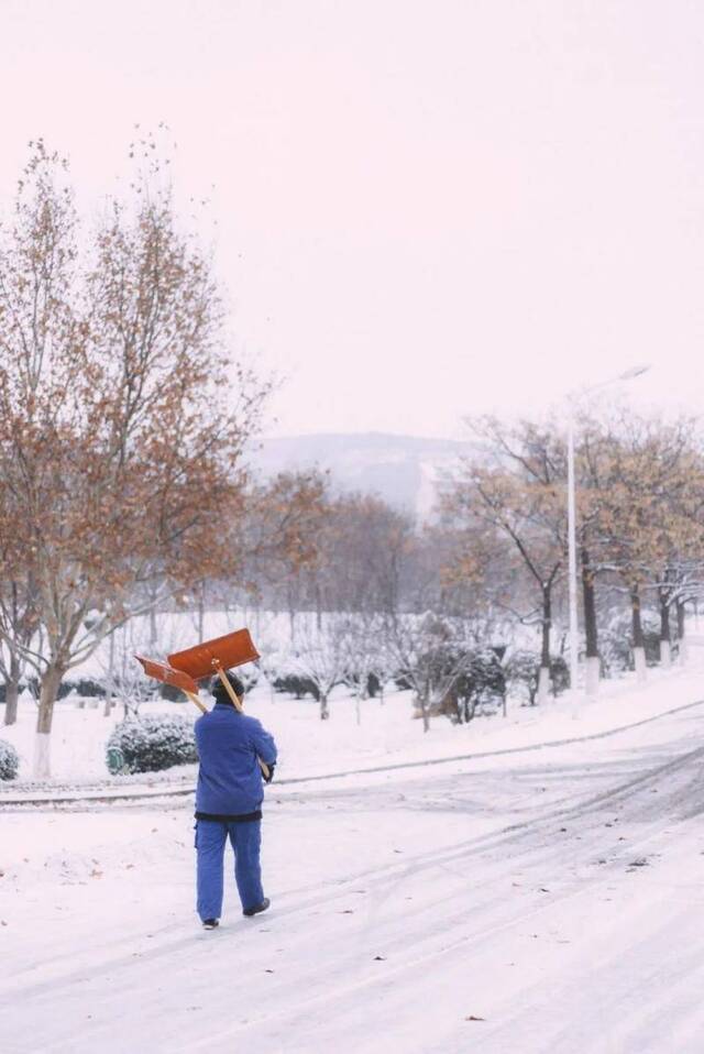 初见雪纷飞——来看看济大的初雪吧