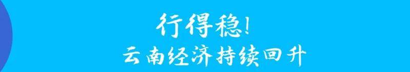 逆风破浪的2020丨育新机，开新局