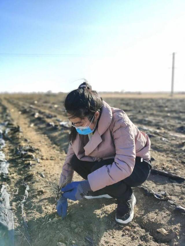 镜头下的南农这一年