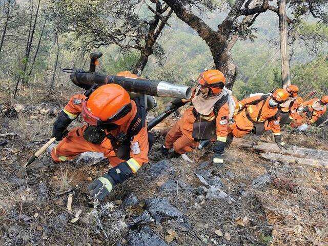 云南迪庆香格里拉火场：北线、东北线还有明火 长度约4.5公里