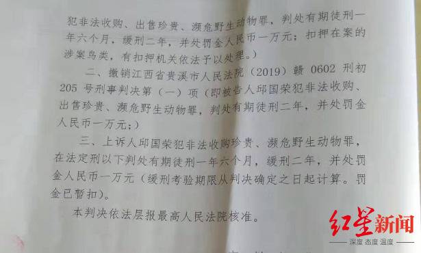 河南三鹦鹉卖家被追刑责 养殖户称数十年市场几近中断 上千鹦鹉白送没人要