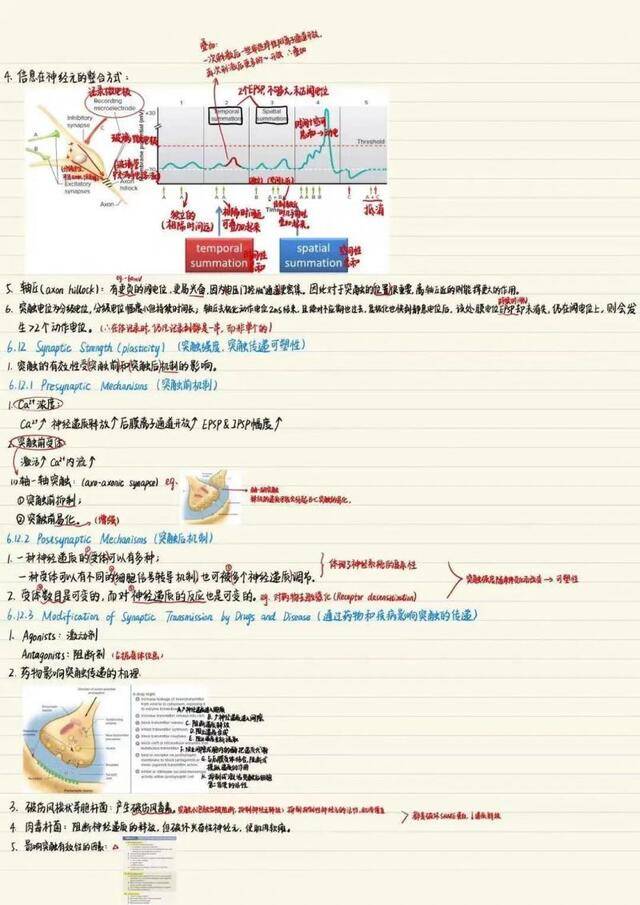 原来，普娃和学霸的距离就差一本……！