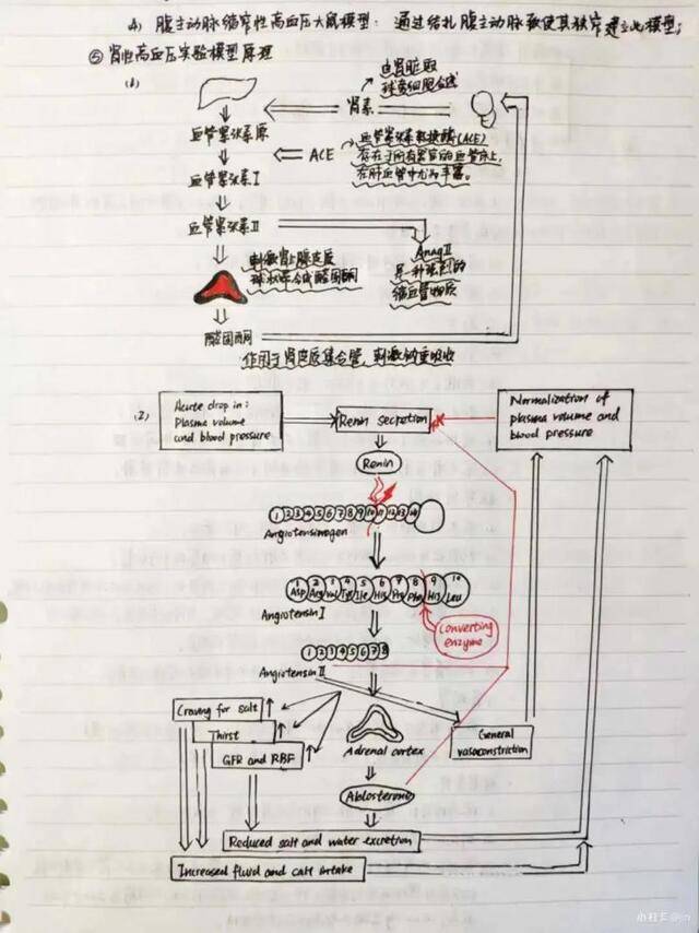 元旦假余额不足，今天迎返程高峰！湖南高速公路最全避堵攻略来了