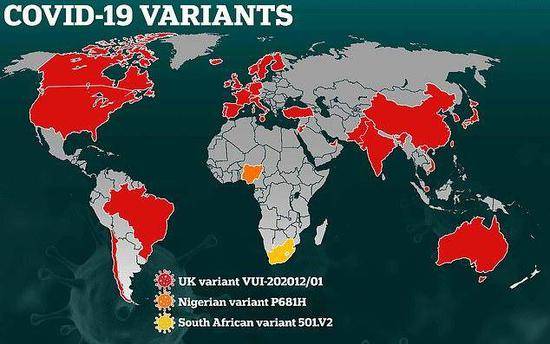 （图说：红色覆盖出现VUI-202012/01型变种毒株的国家；橙色覆盖出现P681H型变种毒株的国家；黄色覆盖出现501.V2型变种毒株的国家。图/Daily Mail）